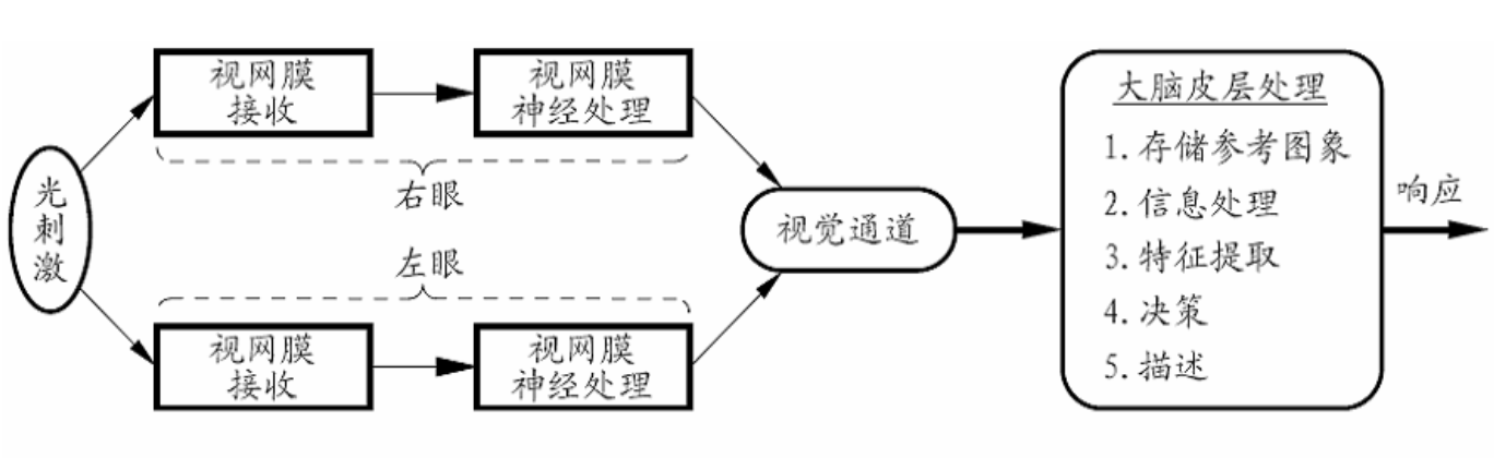 vision_process